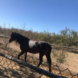 Meet your Posher, Giovanni